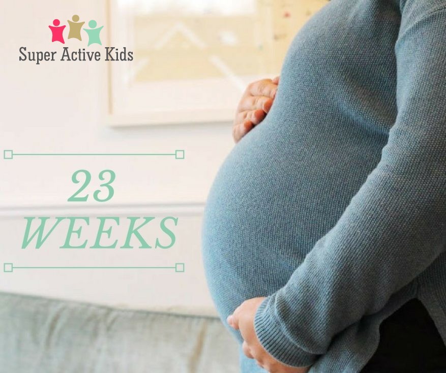 23 Weeks In Pregnancy | Baby And Pregnancy | Your Baby Week By Week