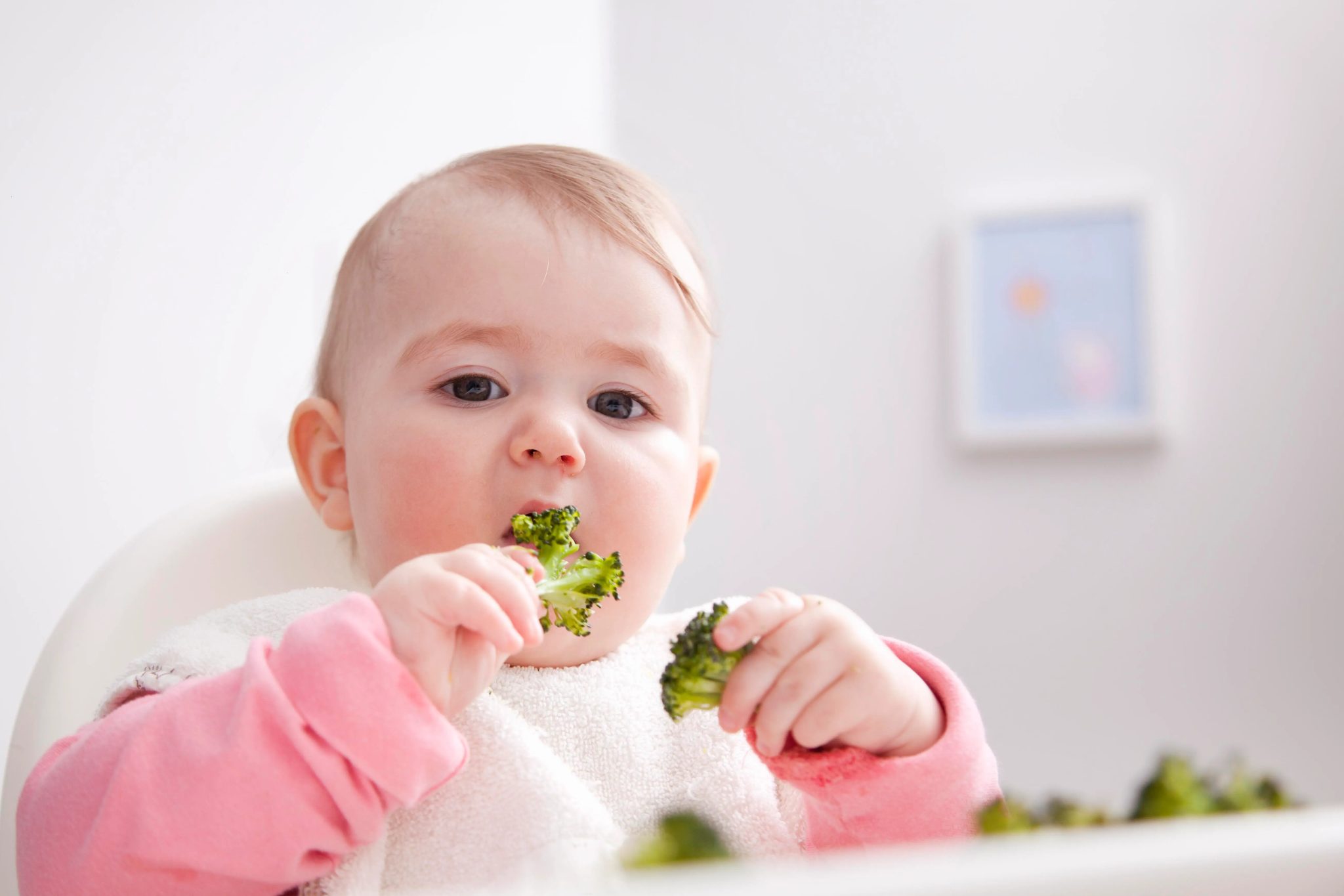 Essential Foods For Baby’s Healthy Development