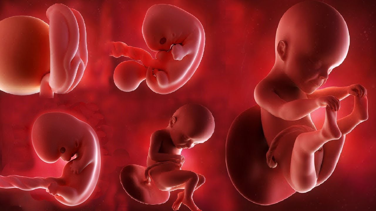 How Can Parents Prioritize Baby Development During The Seventh Month?