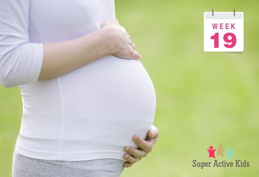 Pregnant Week 19 | Pregnancy Week By Week – Super Active Kids