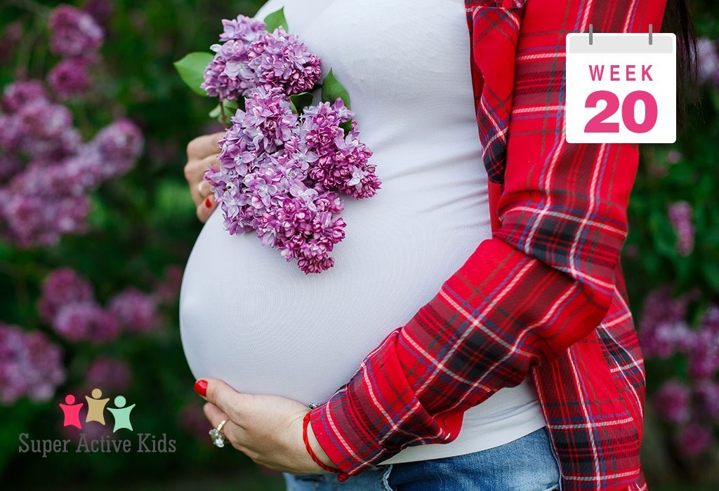 Baby in 20 Week Pregnancy | Pregnancy and Baby Care