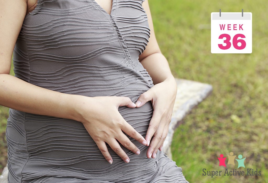 Everything You Need To Know About 36 Week Pregnancy | Pregnancy Week By Week